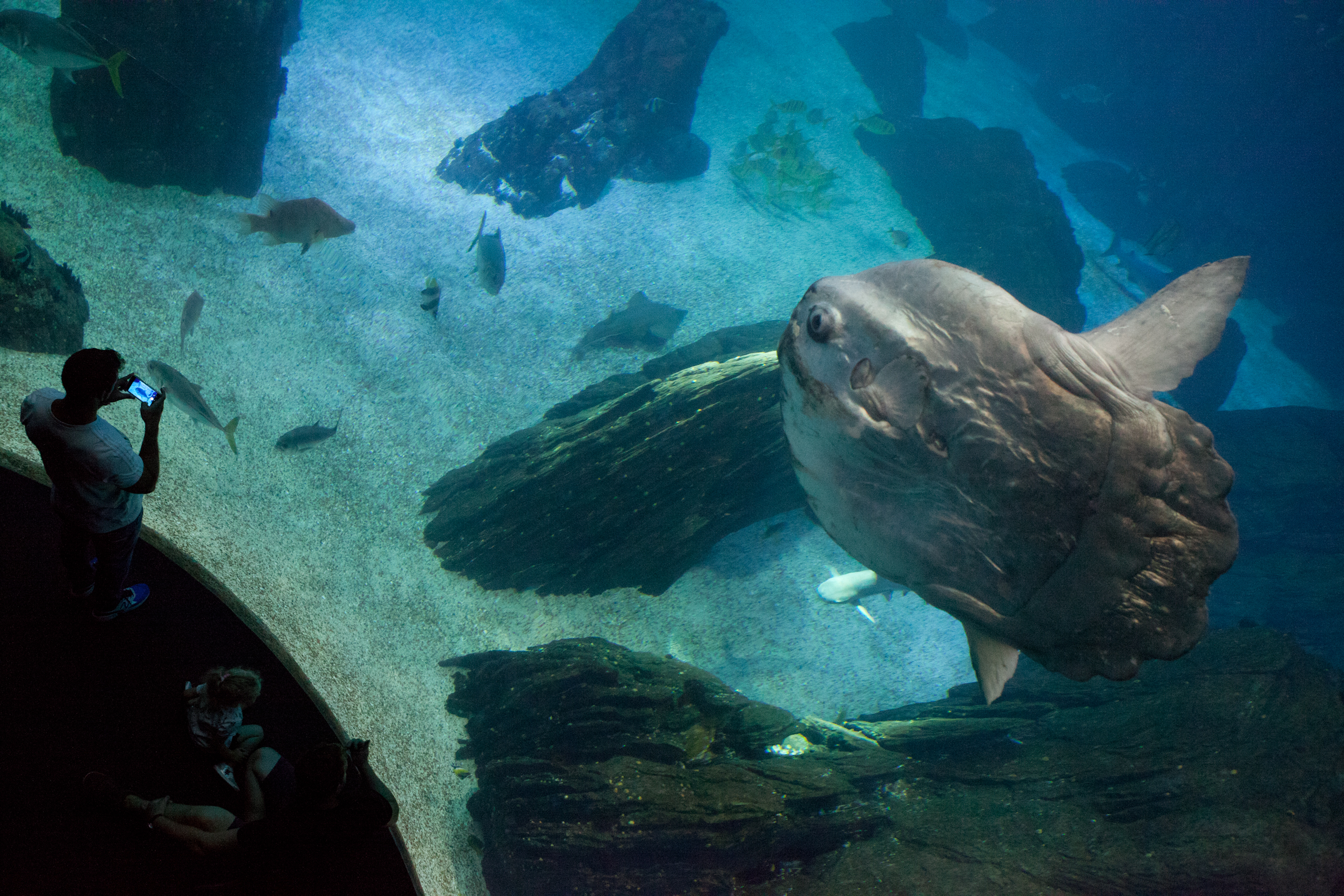 2019_10_LANDMARKER_Lissabon